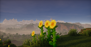 Mountains behind Sunflowers