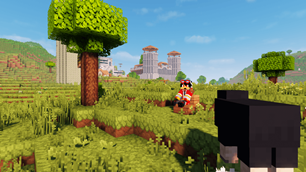 Plains Biome