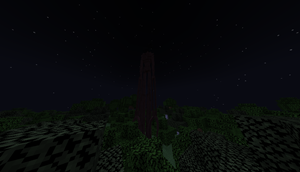 Forest 2