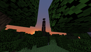 Forest 3