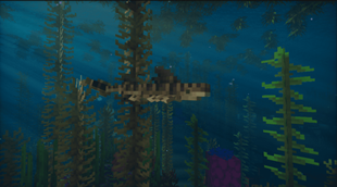 The Ocean