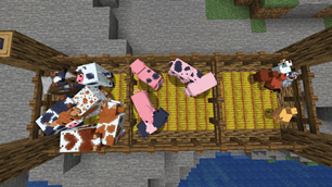 animal_variants.png