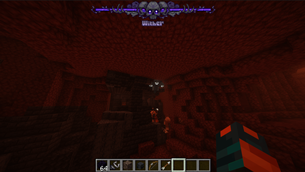 Wither Bar In-Game