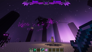 Wither Bar In-Game