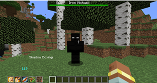 Shadow Boxing