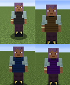 Training Weight Vests