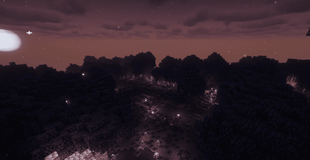 showcase (4).png