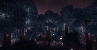 showcase (5).png