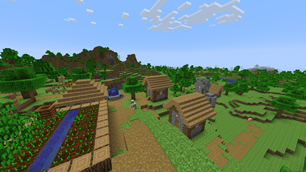 Village