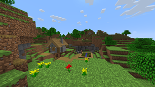 Village