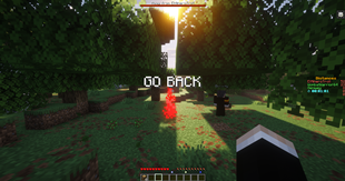 Go back