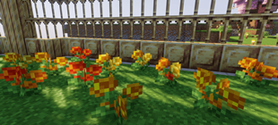 Marigolds