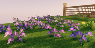 Bluebells
