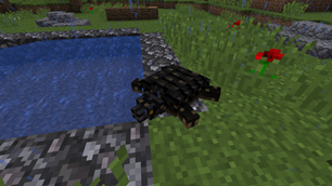 Alligator Snapping Turtle