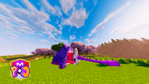 PC_SS_003_R.png