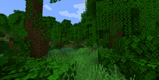 in the jungle