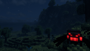 Spider at Night
