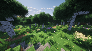 Cozy Forest