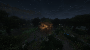 Cozy Swamp House