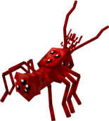eYe_spida.png
