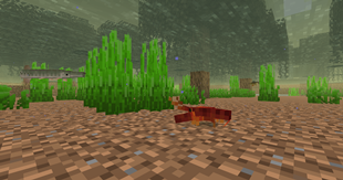 Swamp.png