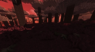 Eye Forest