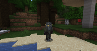 Diving Gear