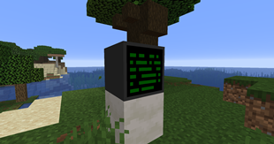 computer