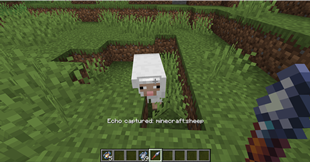 Acquire echo vials.png