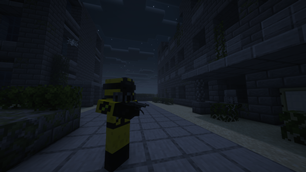Tacz NPC