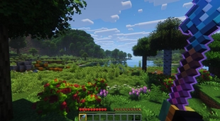 Vibrant Wilderness