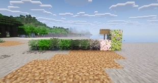 all leaves.jpg