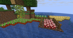 farm