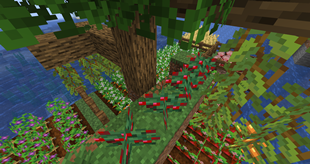 farm 2