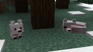 Preview Snowy