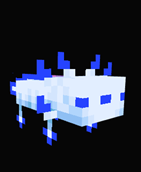 Cyan Axolotl