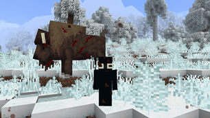 Visual health Mod