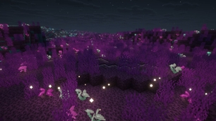 Nocturnal Marsh