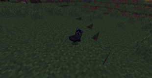on dirt vers:1.12.2