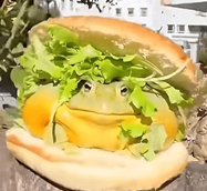 Ferger