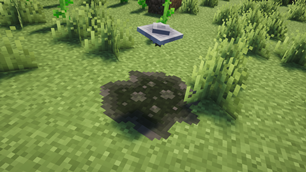 Flux's Puddle Form