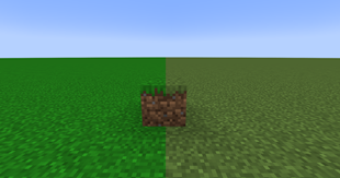 beforeaftergrass.png