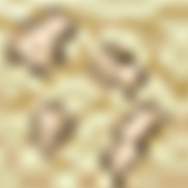 ancient_fossil_ore.png