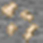 terrestrial_fossil_ore.png