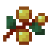 foto 13.png