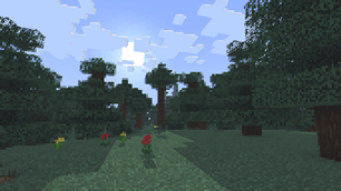 Taiga Biome