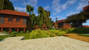 Village Day