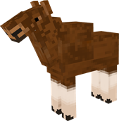file (32).png