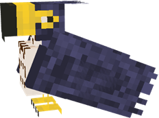 hawk (1).png