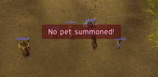 Pet Reminder